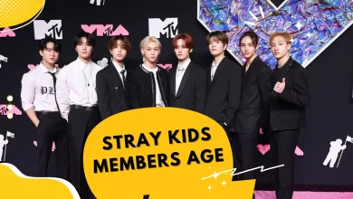 Stray Kids Members Age