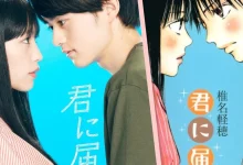 kimi_ni_todoke