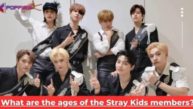 ages and birthday of straykids members